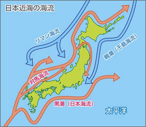 日本水流方向|日本近海の海流